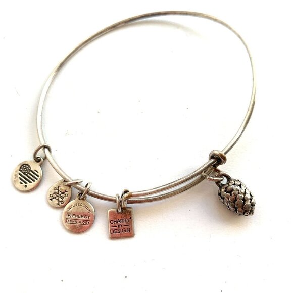 Alex and Ani Pinecone Charm Bracelet Silver Finish - Expands 2"- 3.5" - Picture 1 of 2